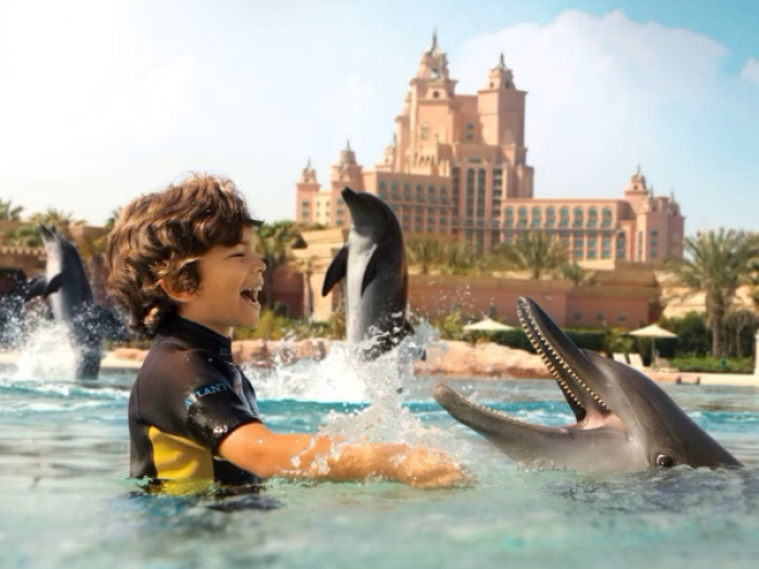 Dolphin Bay Atlantis Dubai Tickets