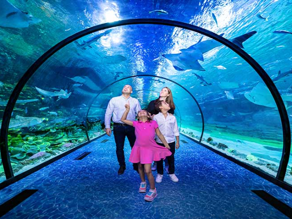 The National Aquarium Abu Dhabi Tickets