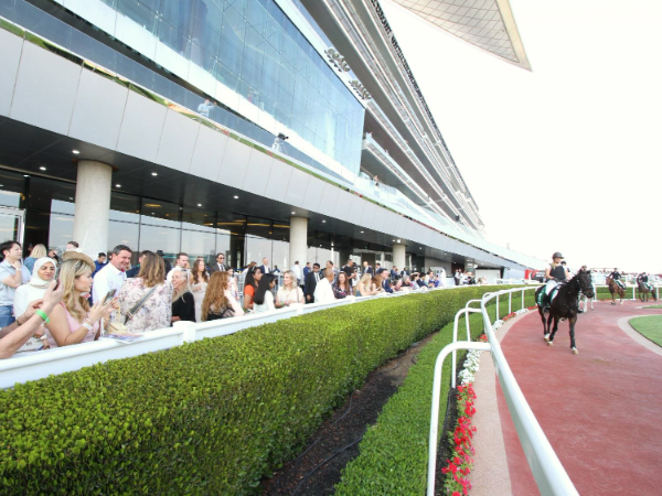 Dubai Horse Race Club Tickets