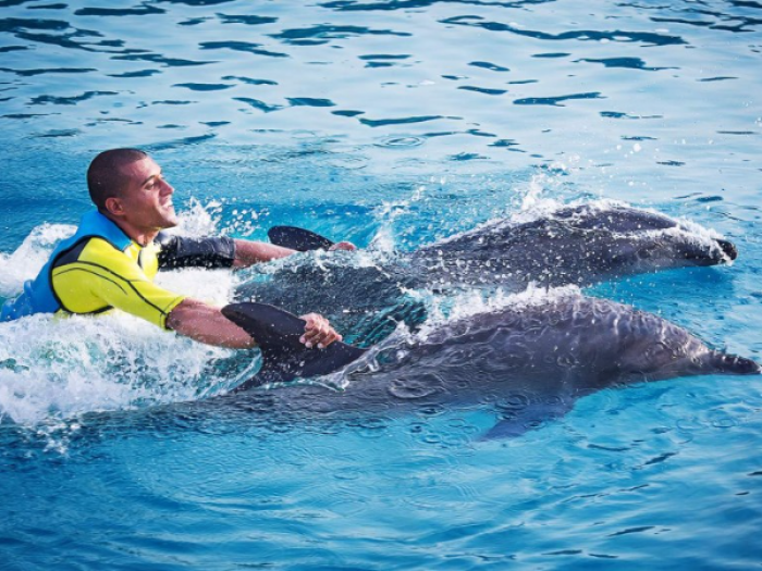 Dolphin Bay Atlantis Dubai Tickets