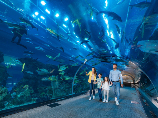 Dubai Aquarium And Underwater Zoo