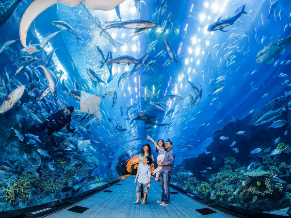 Dubai Aquarium And Underwater Zoo