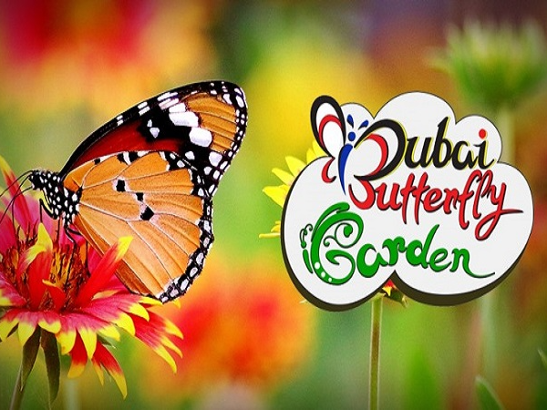 Dubai Butterfly Garden Tickets