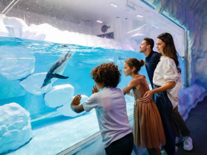 Dubai Aquarium And Underwater Zoo