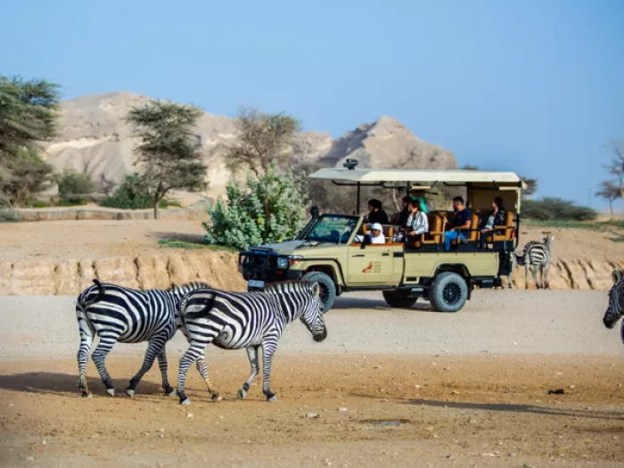 Al Ain Zoo Safari SUV Tickets