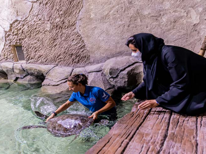 The National Aquarium Abu Dhabi Tickets