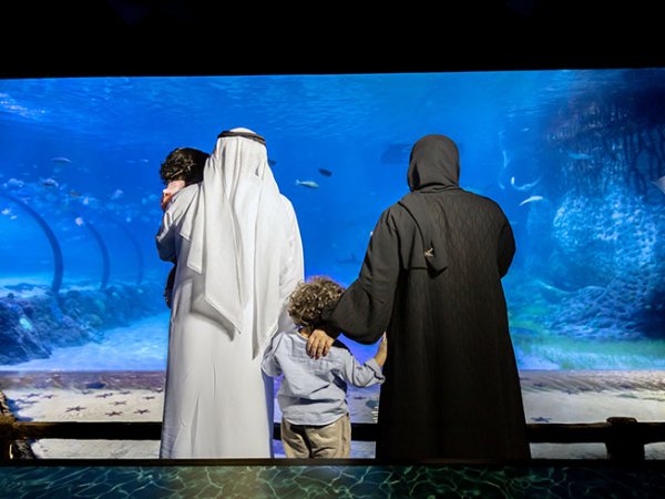 The National Aquarium Abu Dhabi Tickets