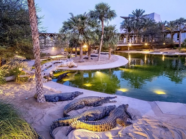 Dubai Crocodile Park Tickets