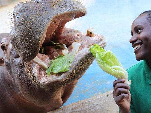 Emirates Park Zoo Abu Dhabi Tickets
