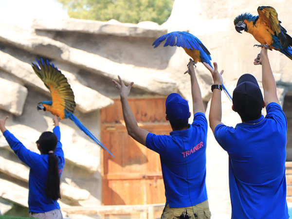 Emirates Park Zoo Abu Dhabi Tickets