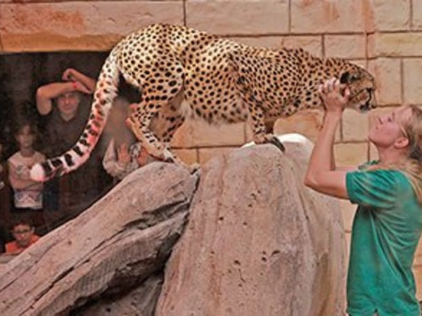Emirates Park Zoo Abu Dhabi Tickets