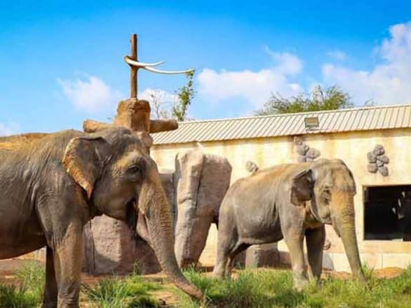 Emirates Park Zoo Abu Dhabi Tickets