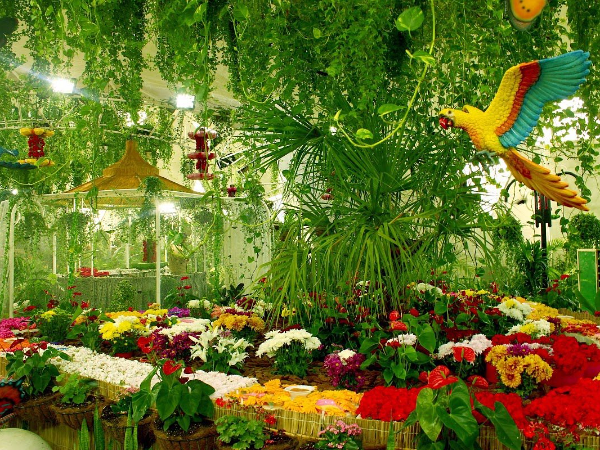 Dubai Butterfly Garden Tickets