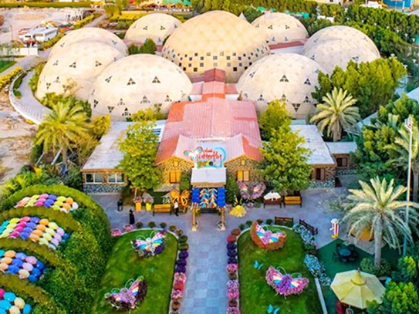 Dubai Butterfly Garden Tickets