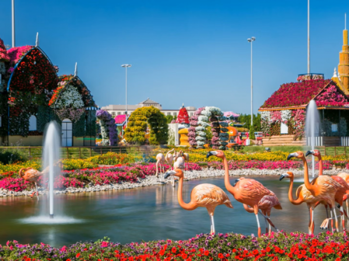 Dubai Miracle Garden Tickets