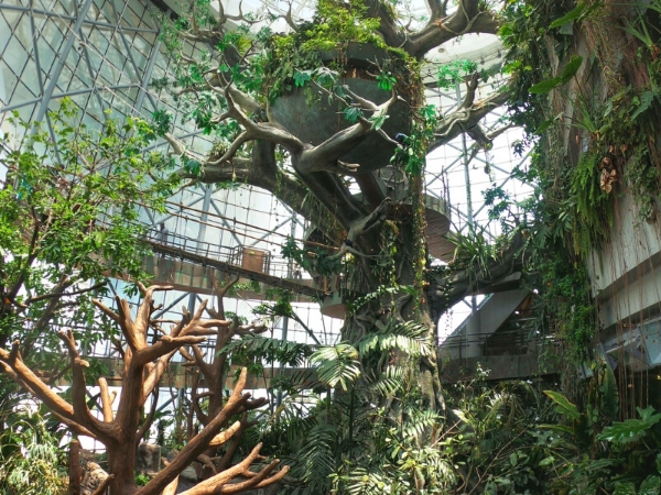 The Green Planet Dubai Tickets