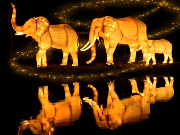 Dubai Garden Glow Tickets